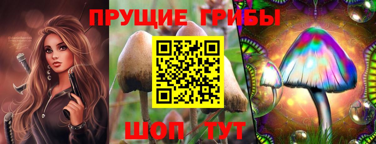 Галлюциногенные грибы мицелий  Вход с VPN  Галлюциногенные грибы Magic Shrooms  Ачинск 
